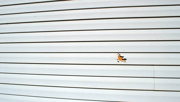 Best Shed Removal  in Princeton, FL