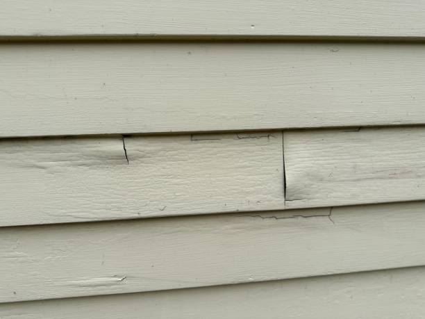 Best Demolition Debris Removal  in Princeton, FL